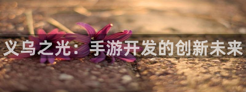 糖果派对官网网址：义乌之光：手游开发的创新未来