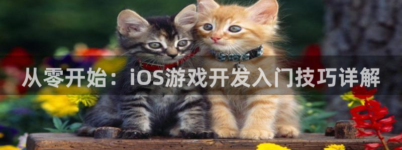 糖果派对官网下载：从零开始：iOS游戏开发入门技巧详解
