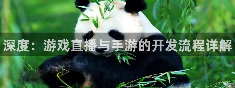 糖果派对网站官方：深度：游戏直播与手游的开发流程详解