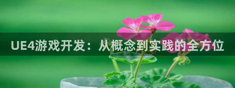 糖果派对官网网址：UE4游戏开发：从概念到实践的全方位