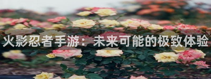 糖果派对2020：火影忍者手游：未来可能的极致体验