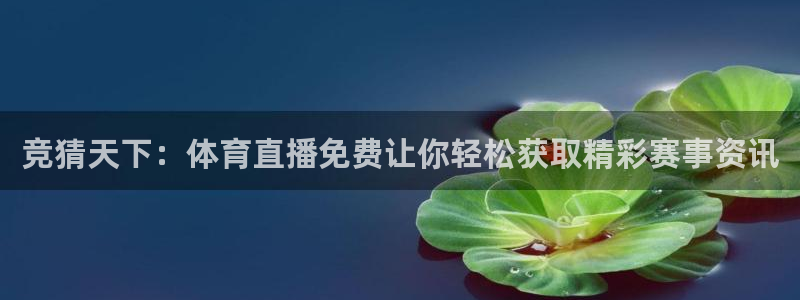 919看球直播官网入口：竞猜天下：体育直播免费让你轻松获取精彩赛事资讯