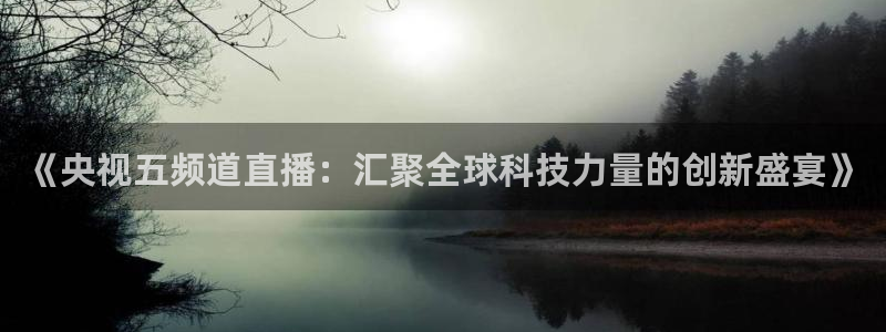 919直播看球在线观看：《央视五频道直播：汇聚全球科技力量的创新盛宴》