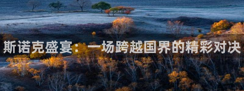 体育直播919：斯诺克盛宴：一场跨越国界的精彩对决