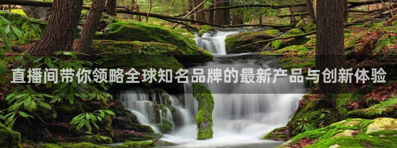 足球直播919：直播间带你领略全球知名品牌的最新产品与创新体验