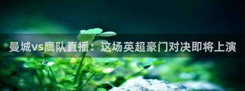 919看球直播：曼城vs鹰队直播：这场英超豪门对决即将上演