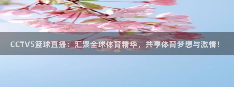 nba直播在线观看919：CCTV5篮球直播：汇聚全球体育精华，共享体育梦想与激情！