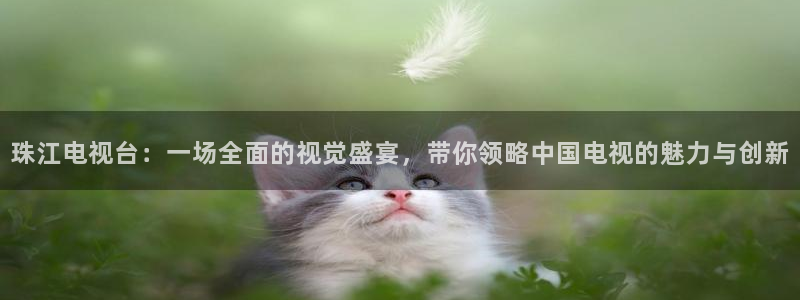 919体育直播间：珠江电视台：一场全面的视觉盛宴，带你领略中国电视的魅力与创新