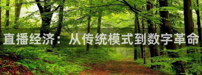 919看球直播：直播经济：从传统模式到数字革命