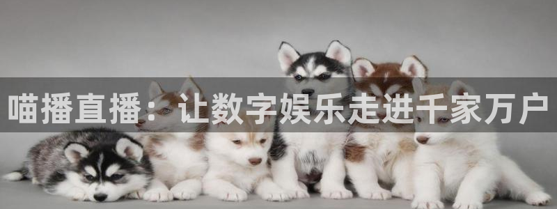919体育在线直播官网：喵播直播：让数字娱乐走进千家万户
