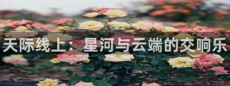 919球赛直播：天际线上：星河与云端的交响乐