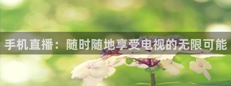 nba直播919：手机直播：随时随地享受电视的无限可能