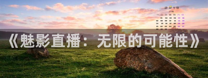919直播官网：《魅影直播：无限的可能性》
